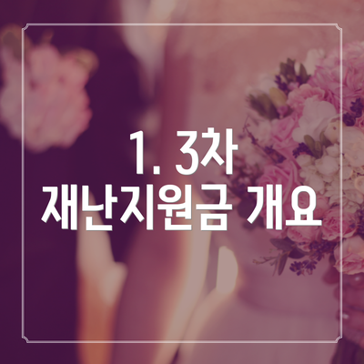 1. 3차 재난지원금 개요