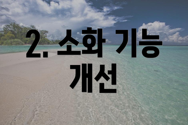 2. 소화 기능 개선