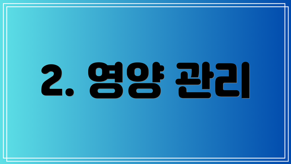 2. 영양 관리