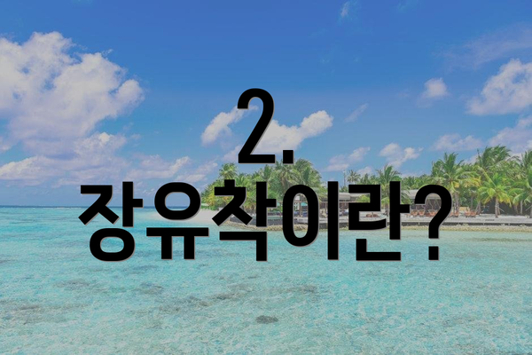 2. 장유착이란?