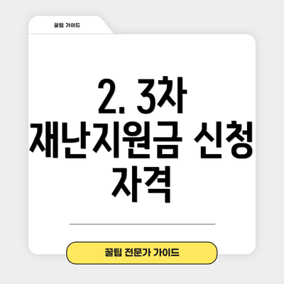 2. 3차 재난지원금 신청 자격