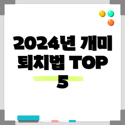 2024년 개미 퇴치법 TOP 5