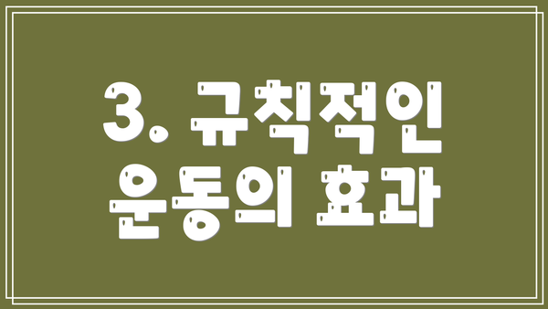 3. 규칙적인 운동의 효과