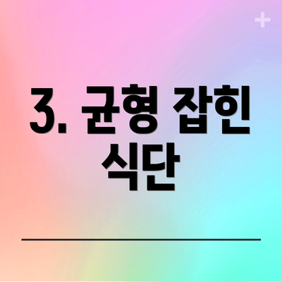 3. 균형 잡힌 식단