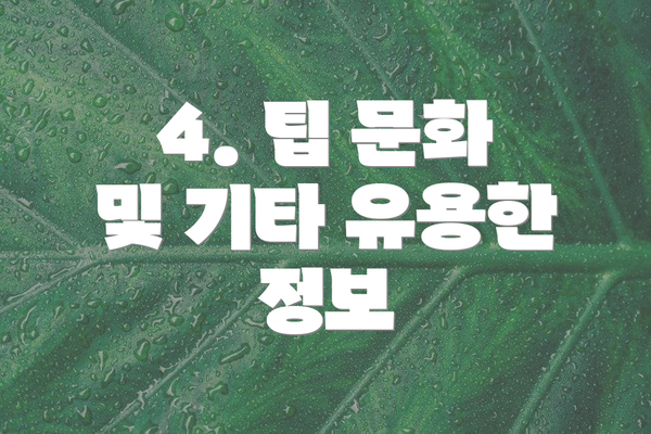 4. 팁 문화 및 기타 유용한 정보