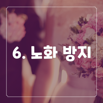 6. 노화 방지