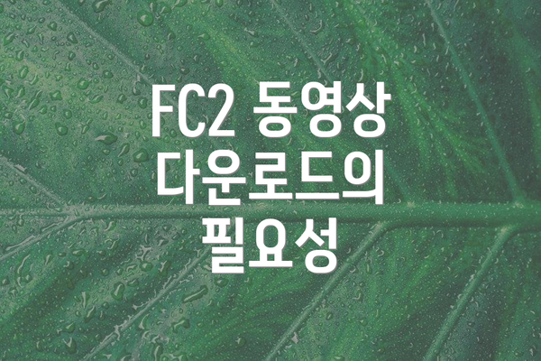 FC2 동영상 다운로드의 필요성