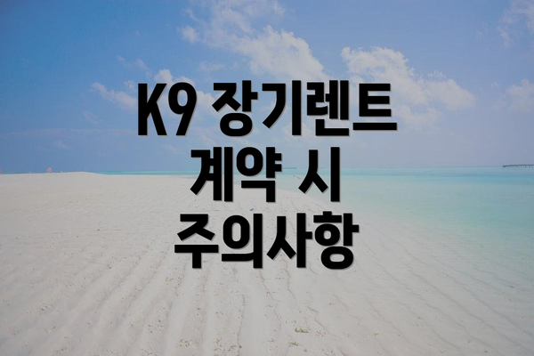 K9 장기렌트 계약 시 주의사항