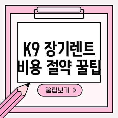 K9 장기렌트 비용 절약 꿀팁