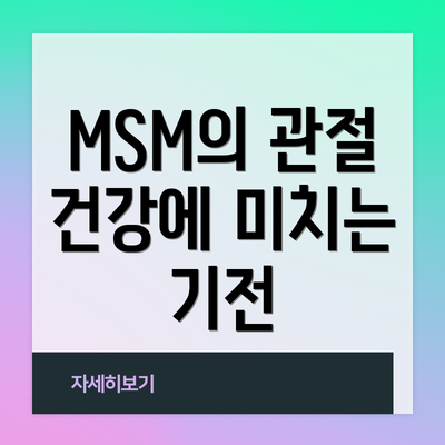 MSM의 관절 건강에 미치는 기전