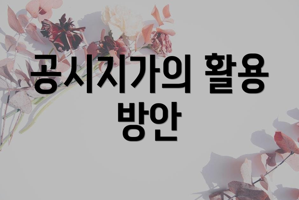 공시지가의 활용 방안