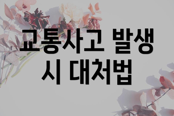 교통사고 발생 시 대처법