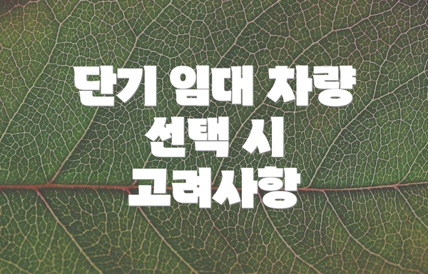 단기 임대 차량 선택 시 고려사항