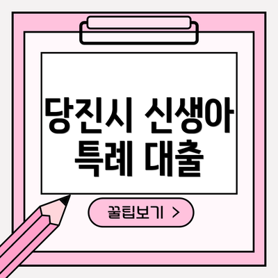 당진시 신생아 특례 대출