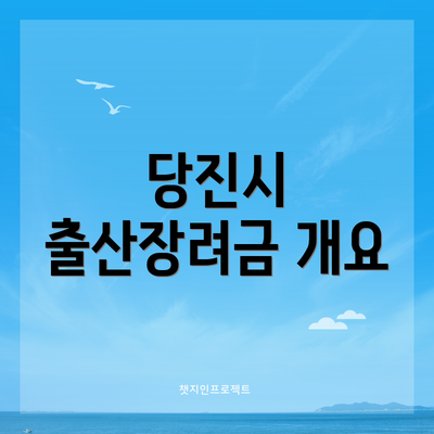 당진시 출산장려금 개요