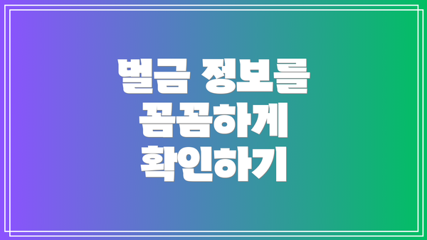 벌금 정보를 꼼꼼하게 확인하기