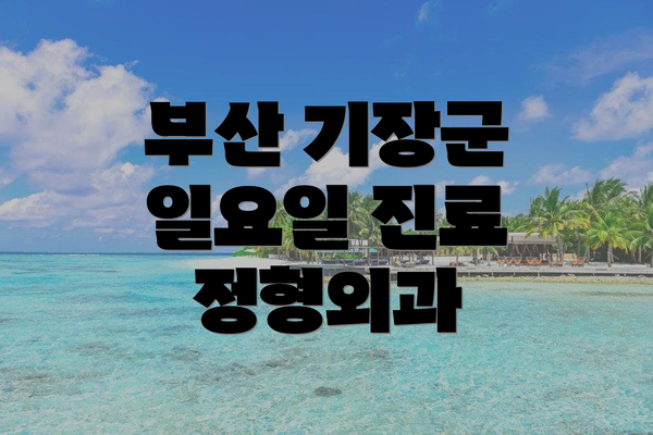부산 기장군 일요일 진료 정형외과