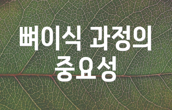 뼈이식 과정의 중요성