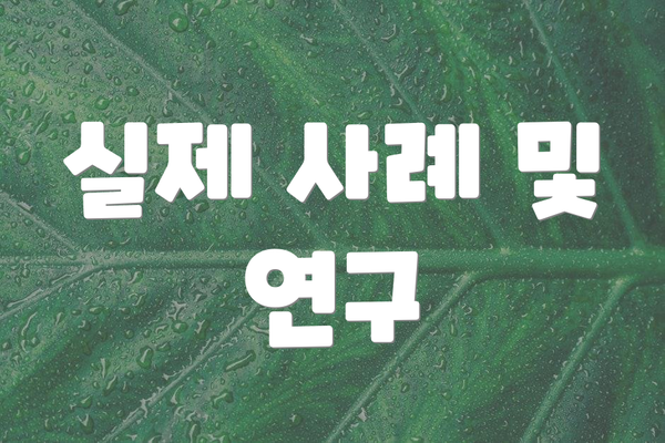 실제 사례 및 연구