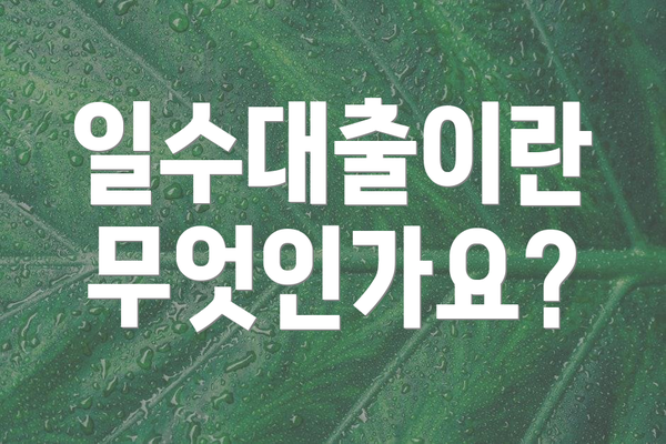 일수대출이란 무엇인가요?