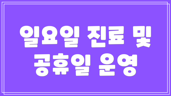 일요일 진료 및 공휴일 운영