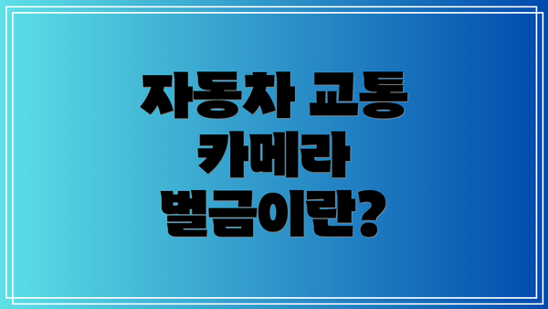 자동차 교통 카메라 벌금이란?
