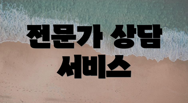 전문가 상담 서비스