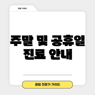 주말 및 공휴일 진료 안내