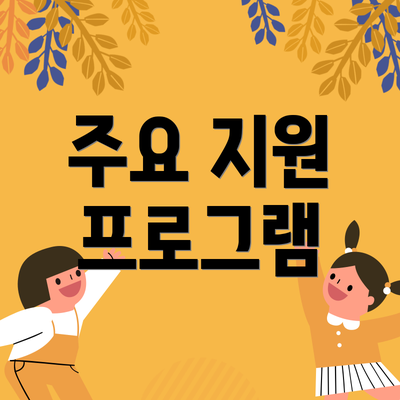 주요 지원 프로그램