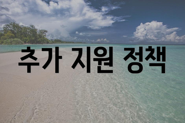 추가 지원 정책