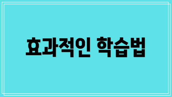 효과적인 학습법