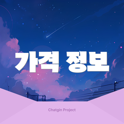 가격 정보