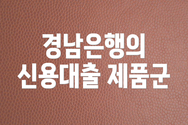 경남은행의 신용대출 제품군