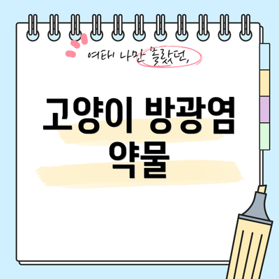 고양이 방광염 약물