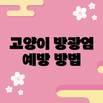 고양이 방광염 예방 방법