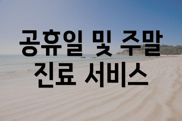 공휴일 및 주말 진료 서비스