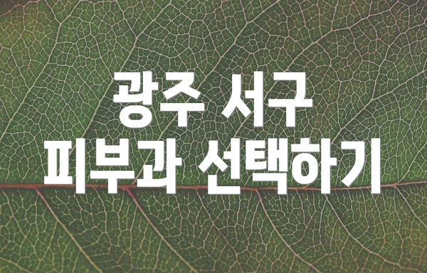 광주 서구 피부과 선택하기