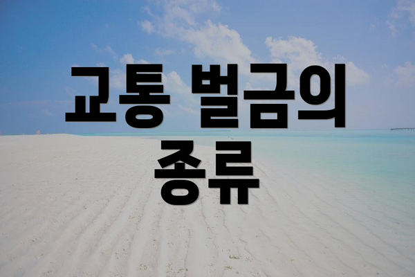 교통 벌금의 종류