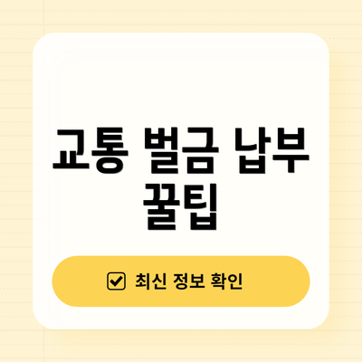 교통 벌금 납부 꿀팁