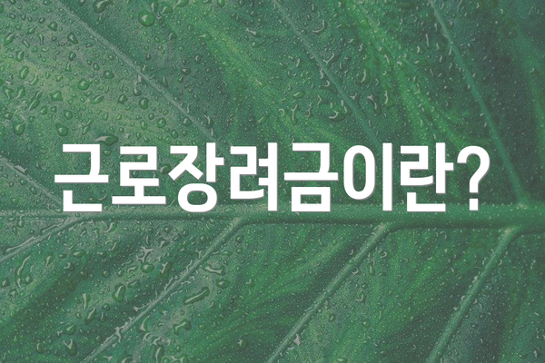 근로장려금이란?