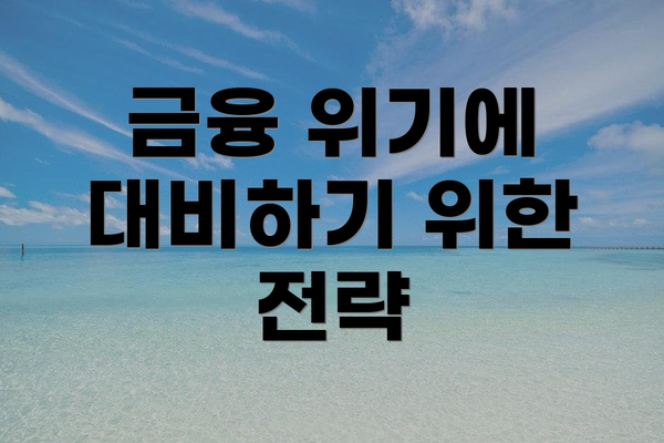 금융 위기에 대비하기 위한 전략
