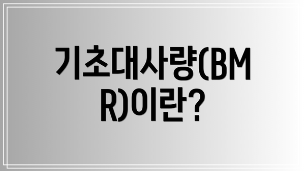 기초대사량(BMR)이란?