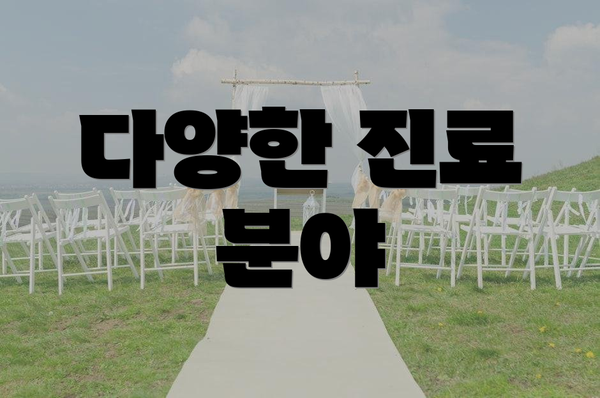 다양한 진료 분야
