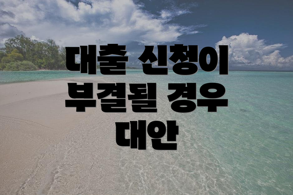 대출 신청이 부결될 경우 대안