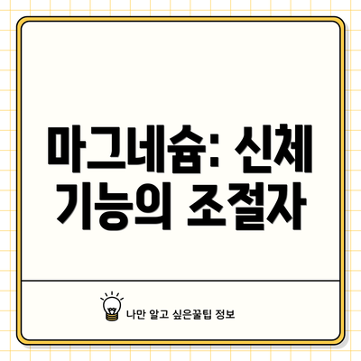 마그네슘: 신체 기능의 조절자