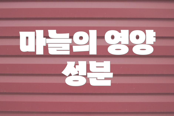 마늘의 영양 성분