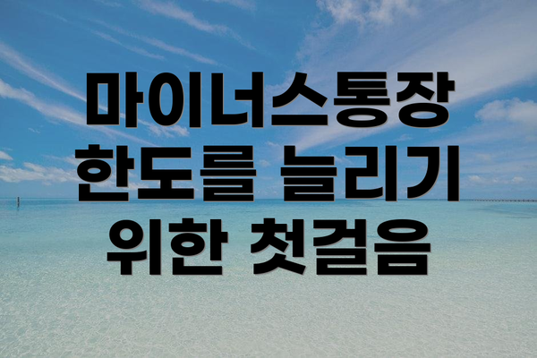 마이너스통장 한도를 늘리기 위한 첫걸음