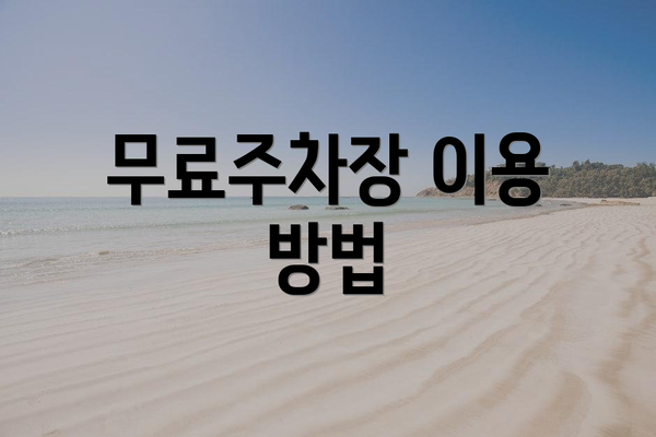 무료주차장 이용 방법