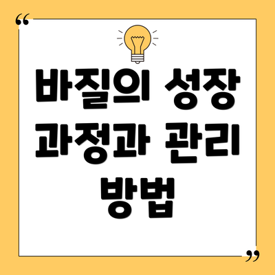 바질의 성장 과정과 관리 방법
