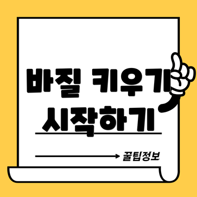 바질 키우기 시작하기